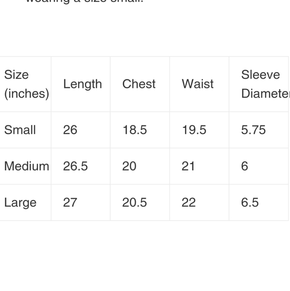 Rainbow Leopard Print Tee - Picture 4 of 4